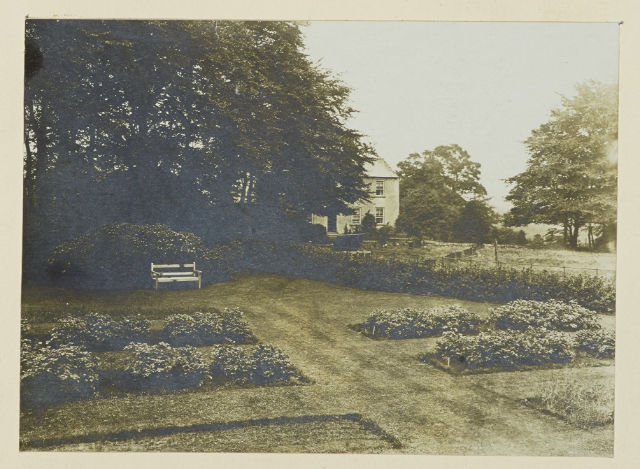 Potatoes growing in the flower beds at the University, University of Leeds War Work 1914-1916